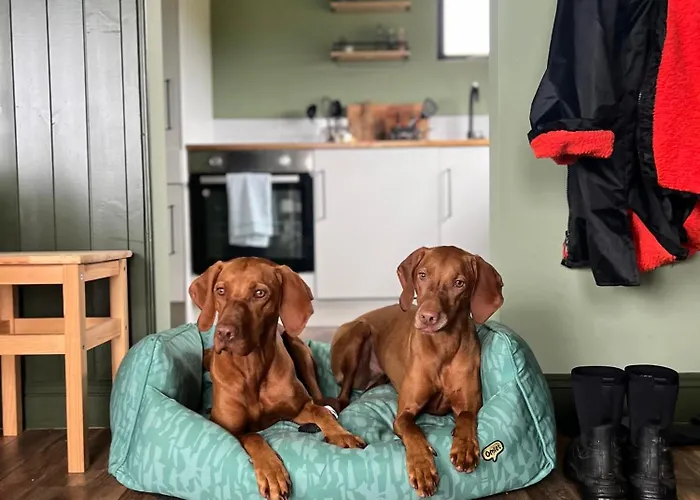 Wild Hideaways Luxury And Eco 빌라 *